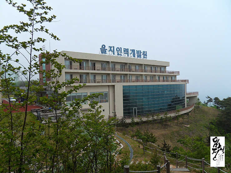 번개인력 이미지