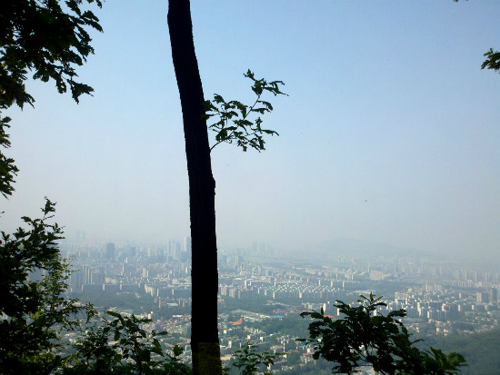 구룡산정상 조망대 이미지