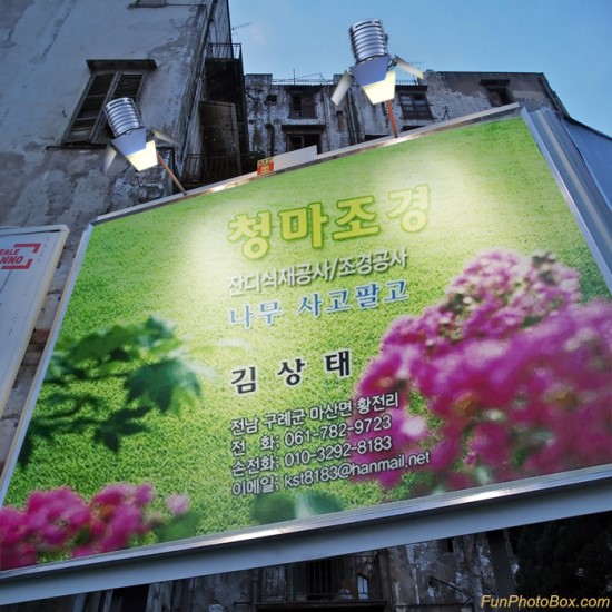 청마조경 이미지