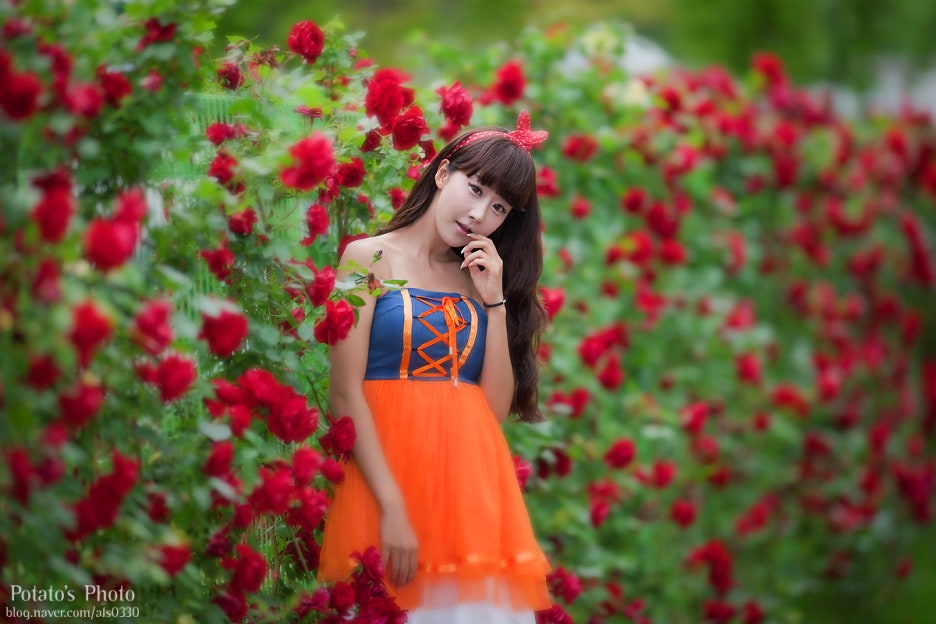 장미나라 이미지