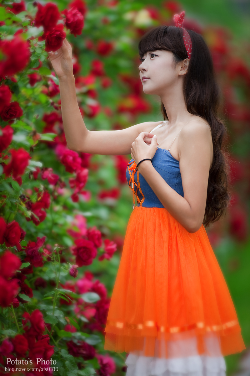 장미나라 이미지