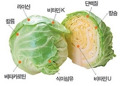 하얀비식품 이미지