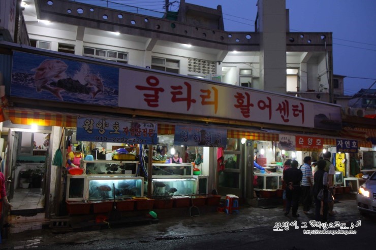 울타리활어센타 이미지