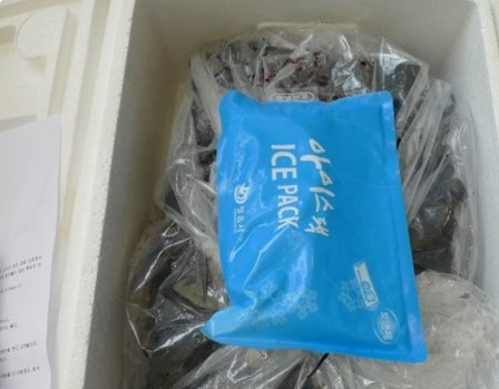 황토뽕 농장 이미지