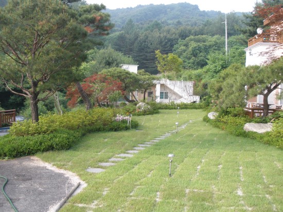 녹색조경 이미지