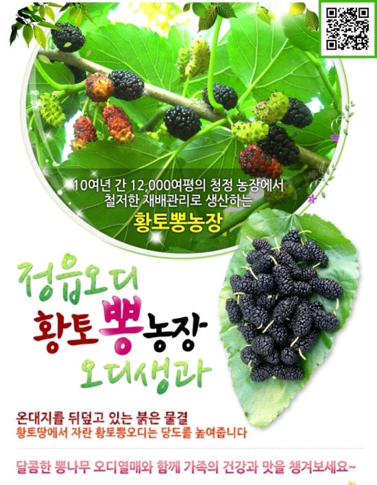 황토뽕 농장 이미지