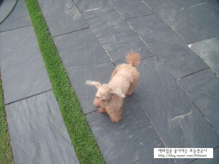 장군마사지 이미지