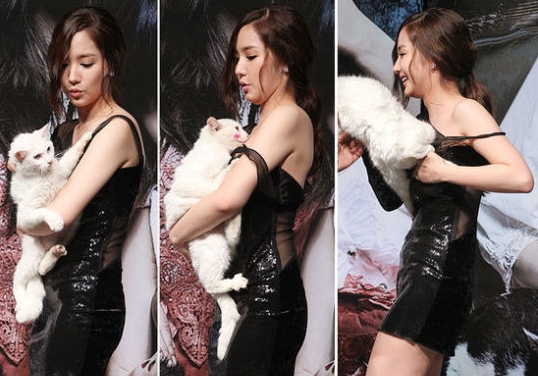 앙큼한고양이 이미지