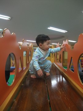 평촌과천짐보리 이미지