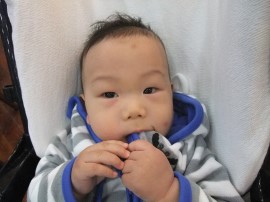 평촌과천짐보리 이미지