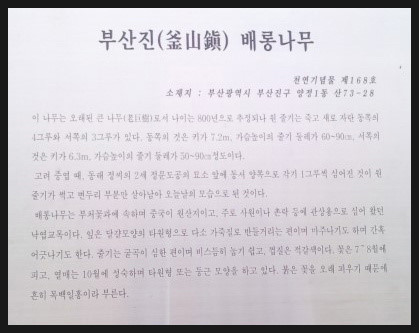 화지 이미지