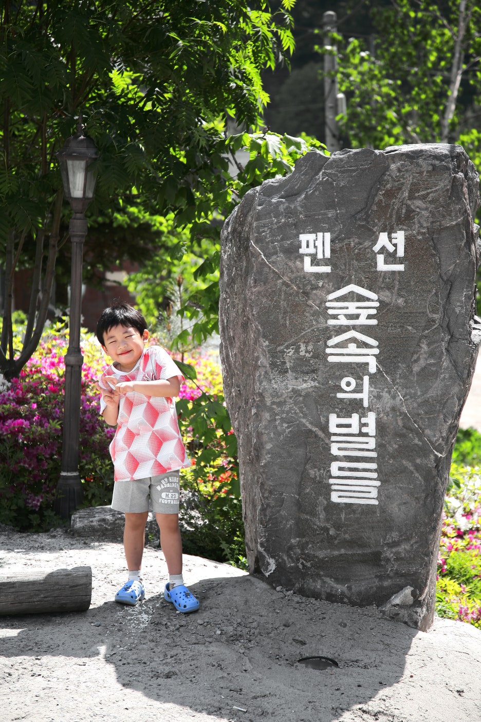 숲속의별들 이미지