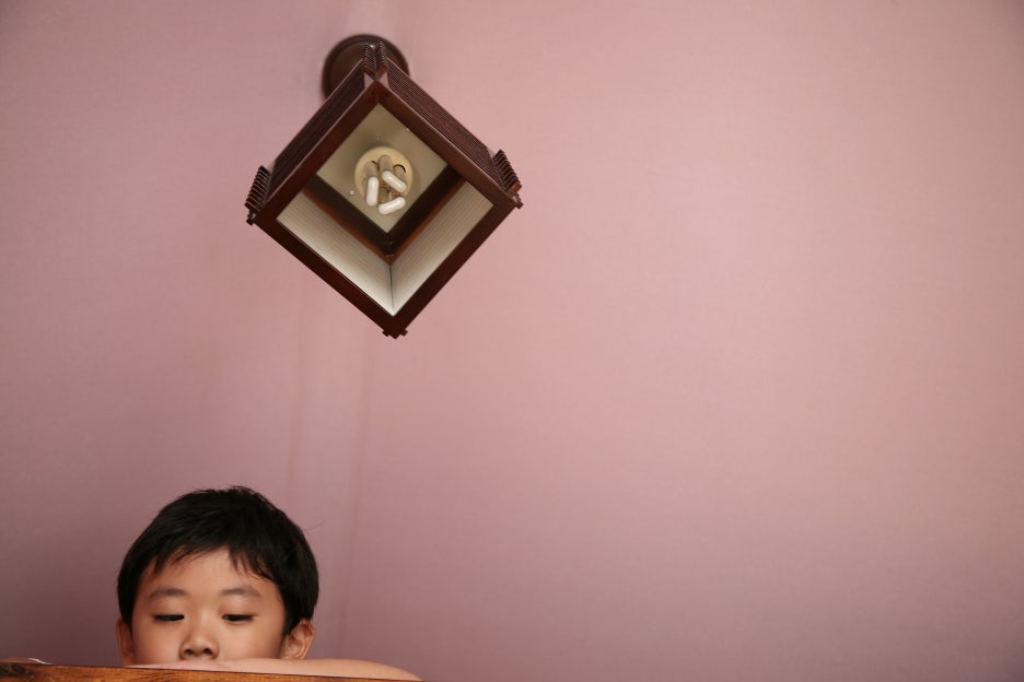 숲속의별들 이미지