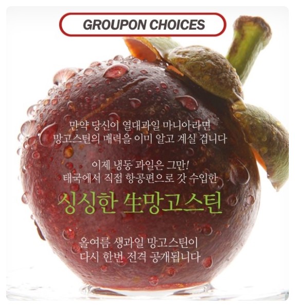 (주)레드비 이미지