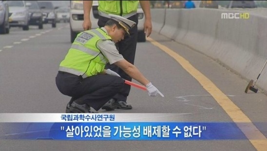대성오토바이 이미지