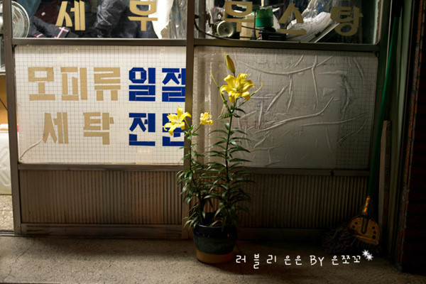 백합세탁소 이미지