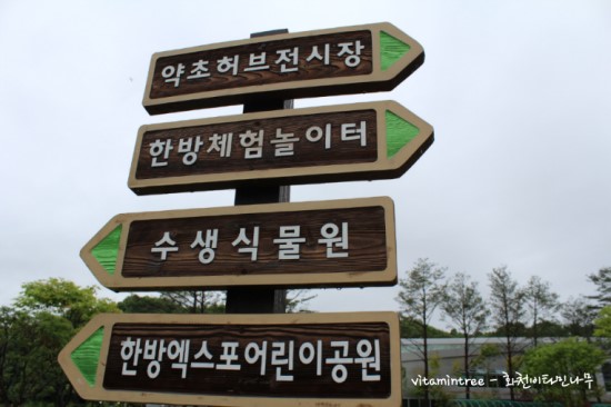 제천한방약초 이미지