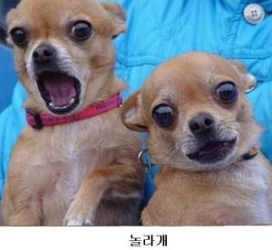같이 이미지