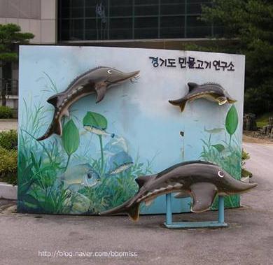 고기연구소 이미지
