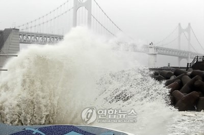 디엔무역 이미지