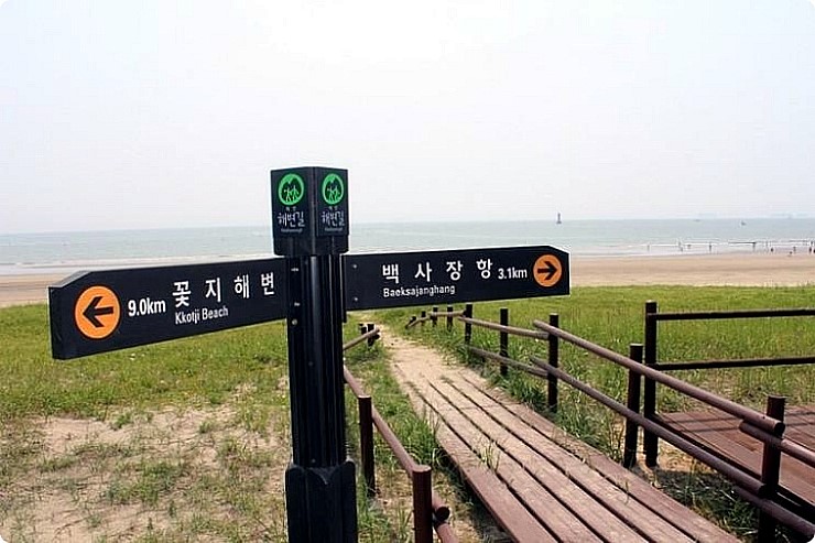 더라온 이미지