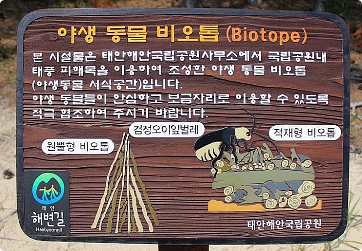 더라온 이미지