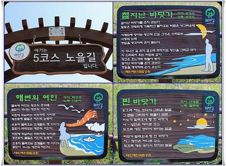 더라온 이미지