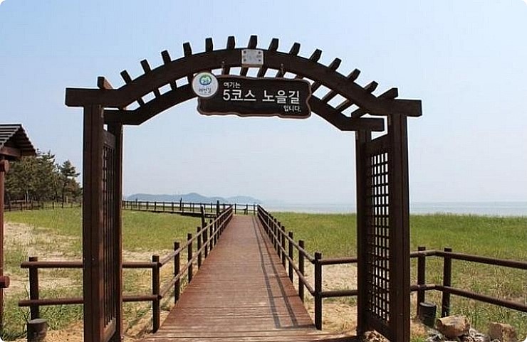 더라온 이미지