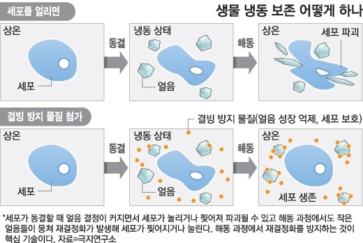 듀바코 전자담배 이미지