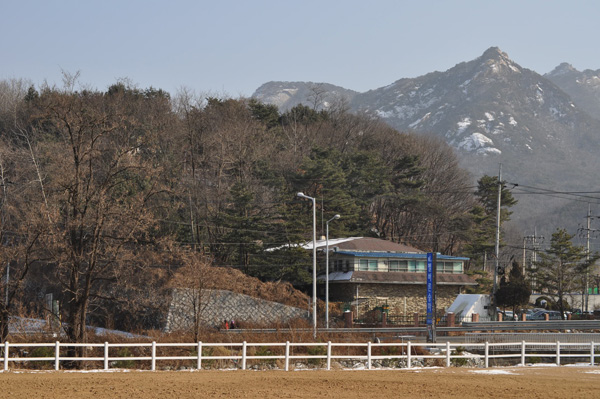 멜버른승마 이미지