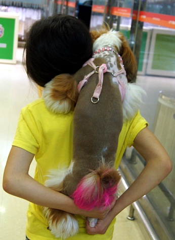 밍키패션 이미지