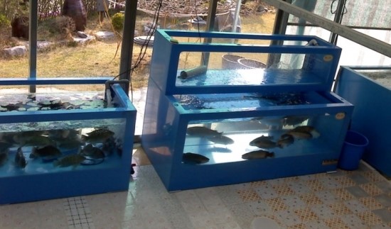 구구수산 이미지