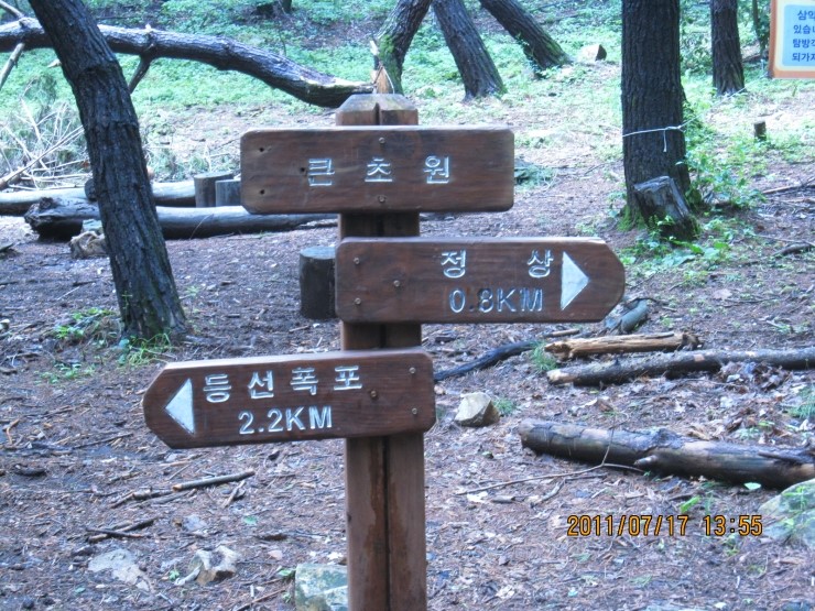 원초원 이미지