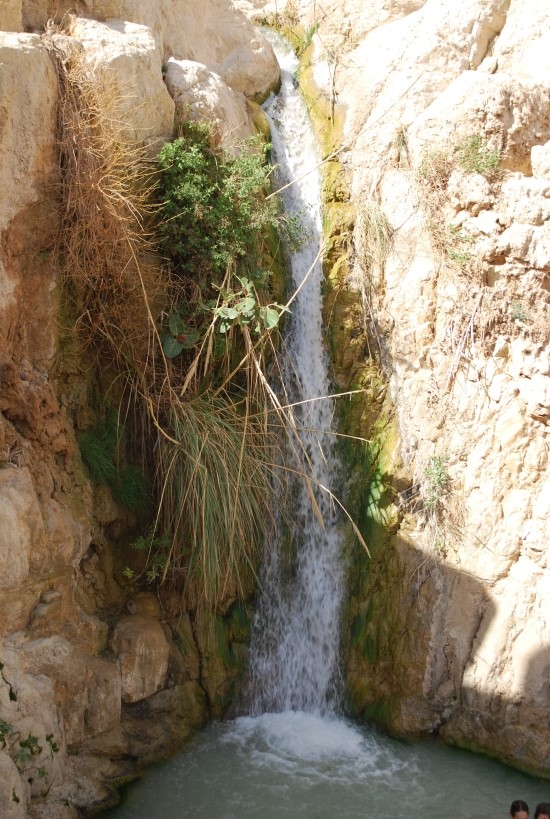 엔게디(Ein Gedi) 이미지