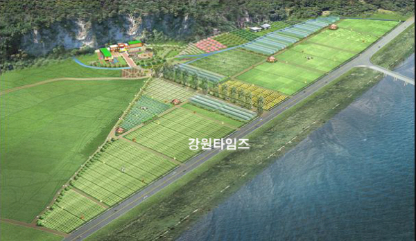 강원친환경유기농 이미지