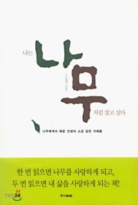 공상나무 이미지
