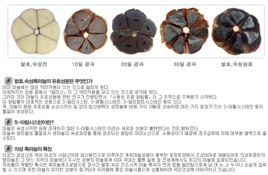 간월도어촌계 이미지