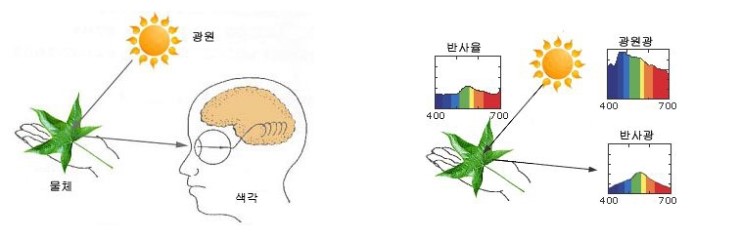가시광선 이야기 : 네이버 블로그