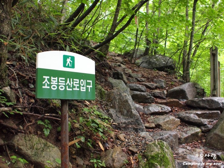 수인야영장 이미지
