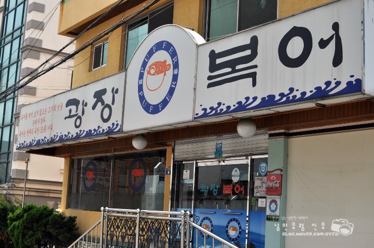 광장복어 이미지
