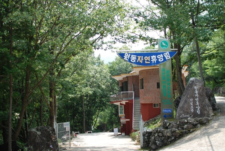 원동자연휴양림 이미지