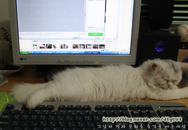 원투pc 이미지