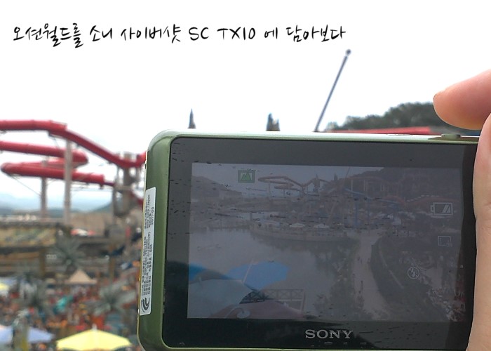 월드DSC 이미지