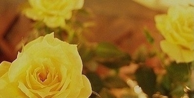 하나비(HANABEE) 이미지