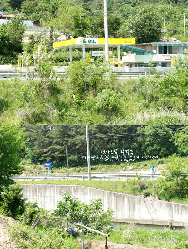 약수주유소 이미지