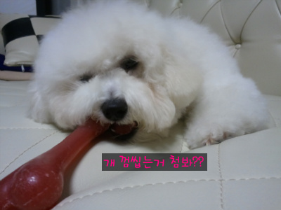 몽뜨 이미지