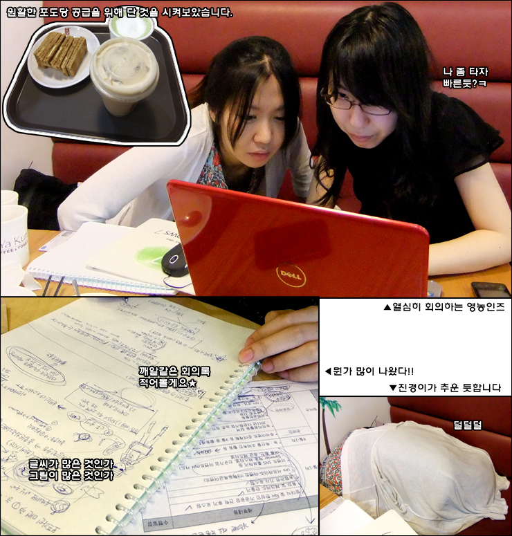 영토스트 이미지