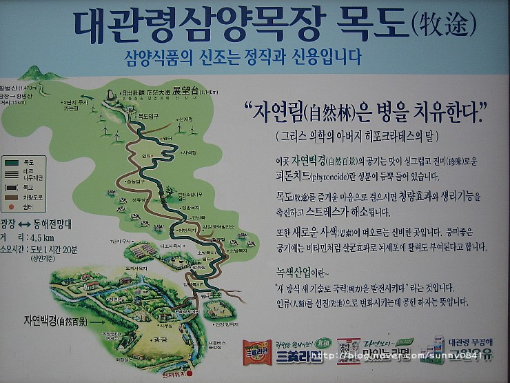 삼양여행사 이미지