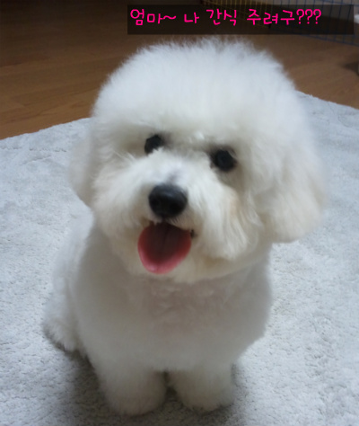 몽뜨 이미지
