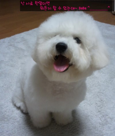 몽뜨 이미지